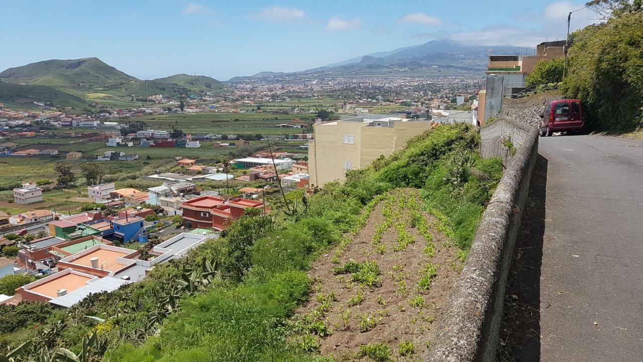 La Casita De Omar En El Corazon De Anaga Y La Laguna Las Mercedes Exteriér fotografie